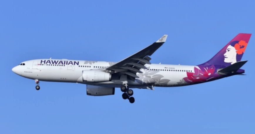 HAWAIIAN航空の飛行機が空を飛んできる写真