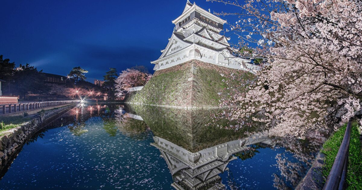 小倉城と夜桜の水面反射、日本夜景遺産としての美しい城夜景。