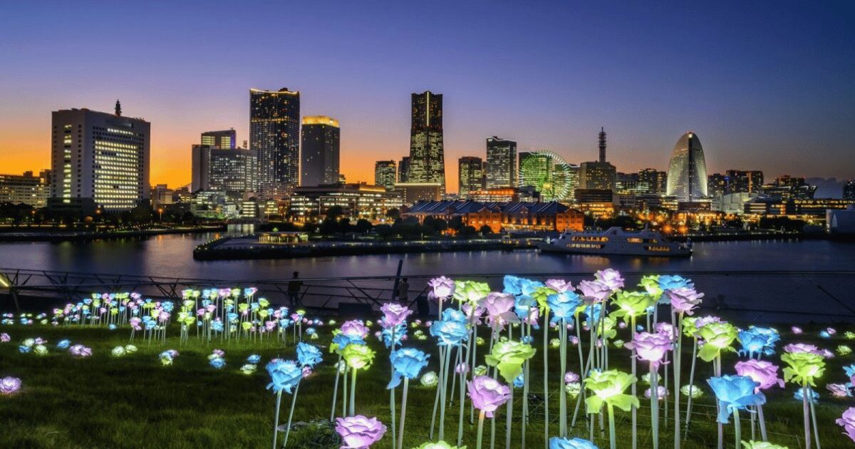 横浜・みなとみらいの夜景と光る花々、日本新三大夜景ランキングの都市景観。